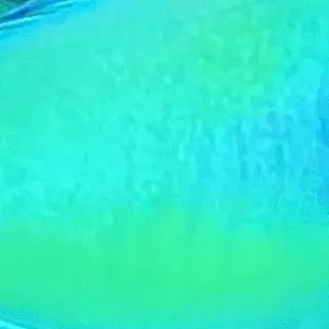 PoliteDhole3980의 危険を恐れぬ高速兵【APEX】