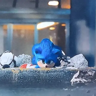 Profile image of 다친 소닉