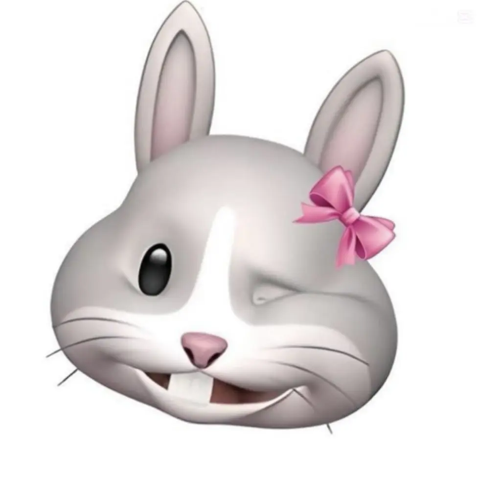 RunnyHoop2245의 박도훈