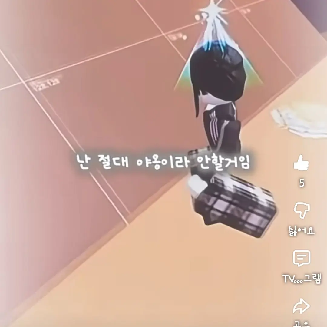 LateSatin4289의 이베이드 유튜버 모음