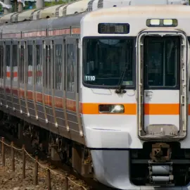Profile image of 313系