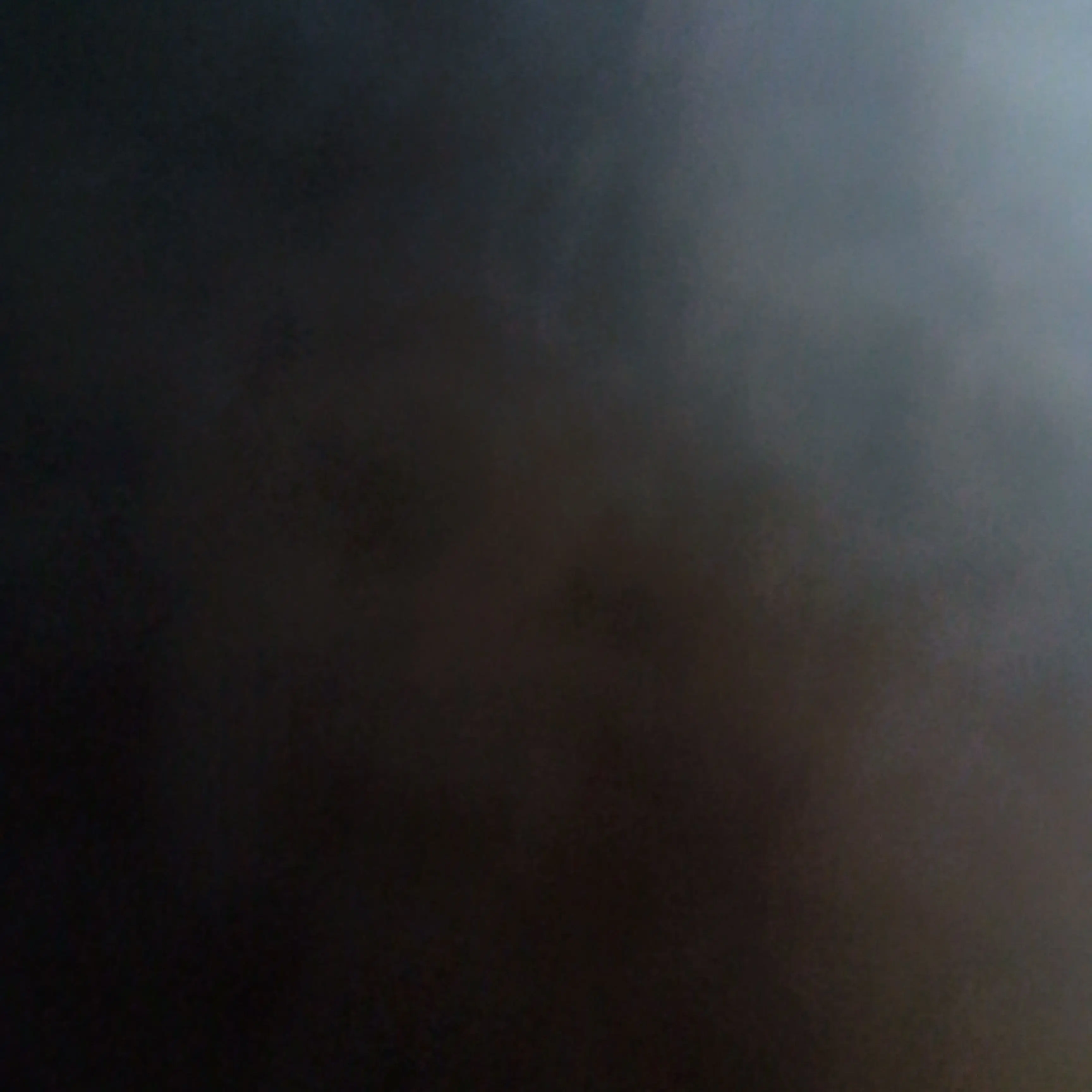 HungryGenet0015의 作りたかった