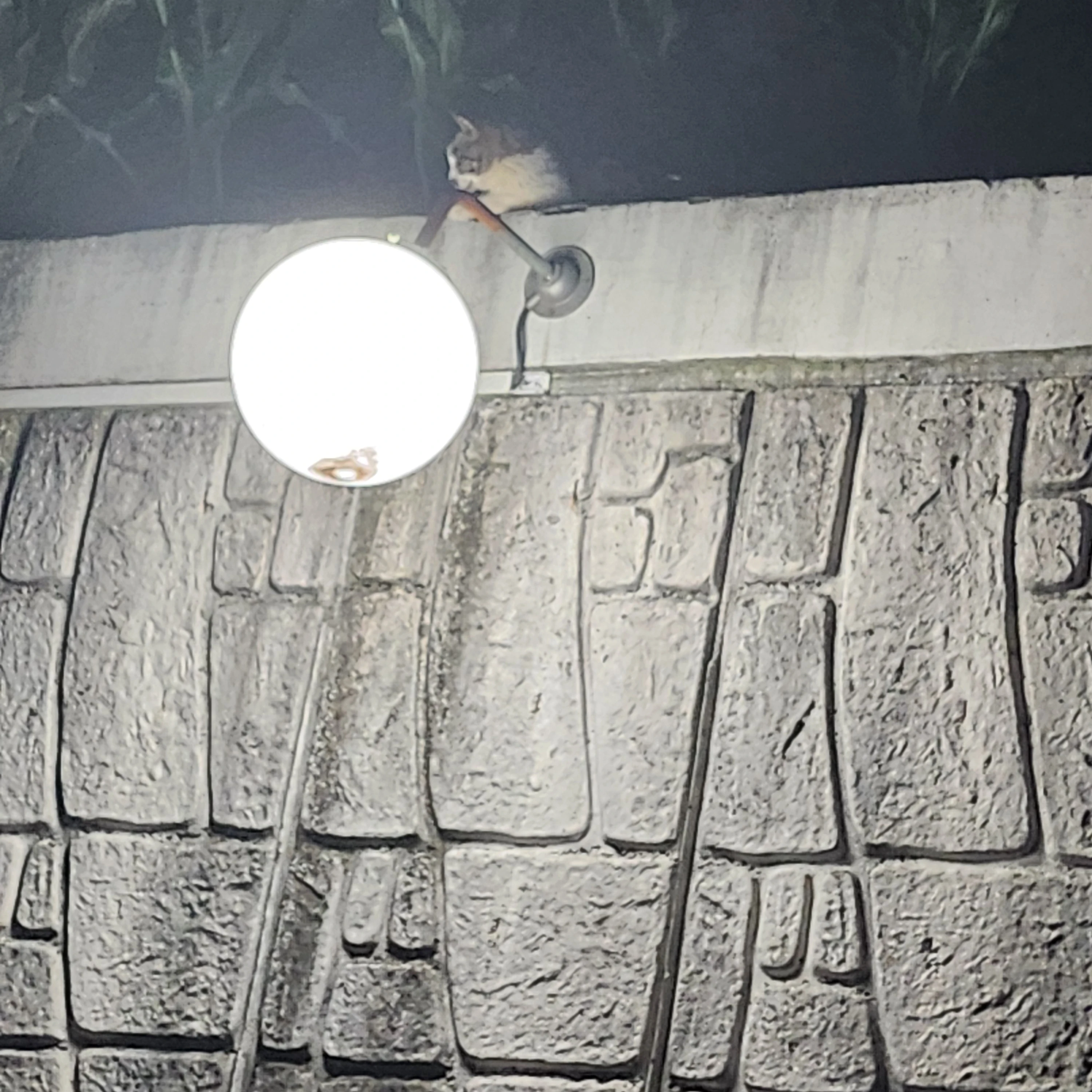민재