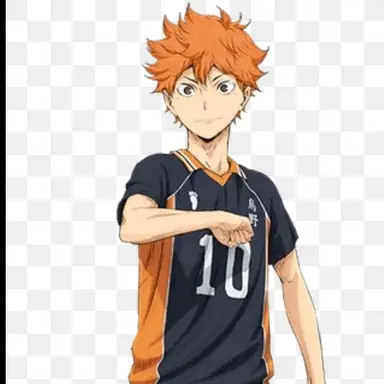 Profile image of 日向翔陽