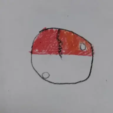 Profile image of Poland