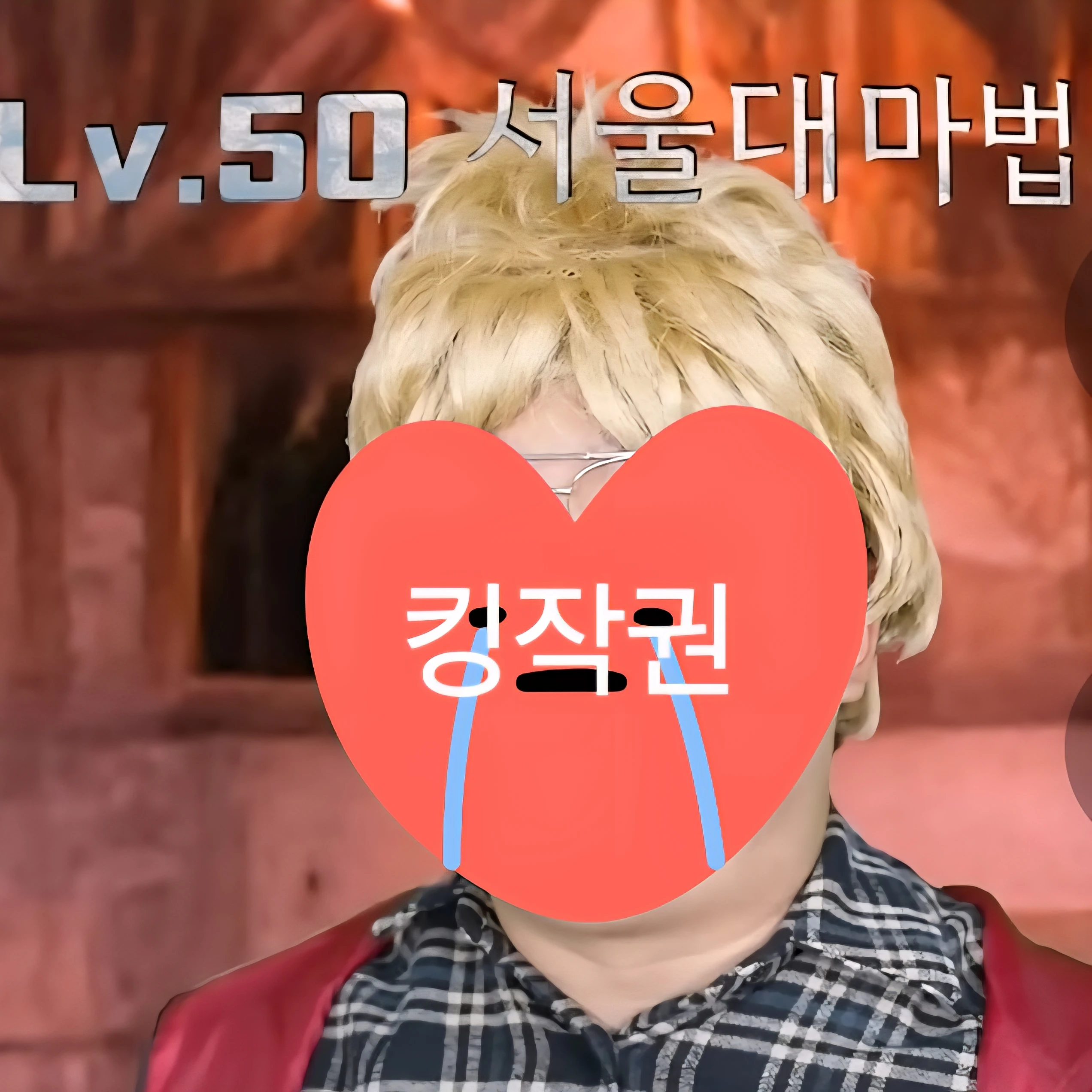 서울대마법사