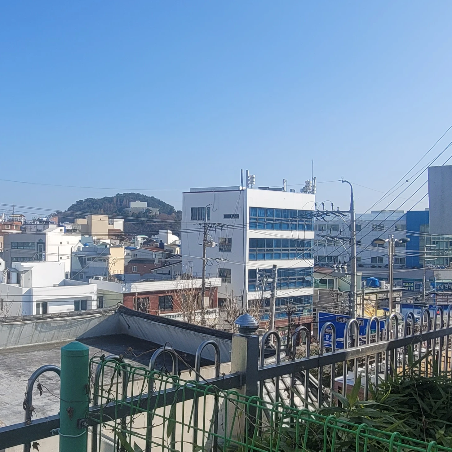 김도이