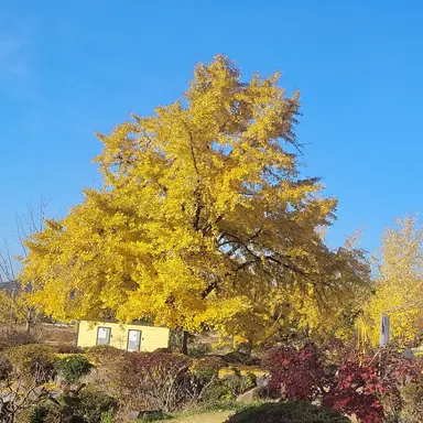 Profile image of 박예희