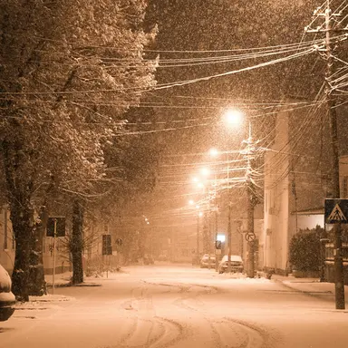 Profile image of 로보 프로스터