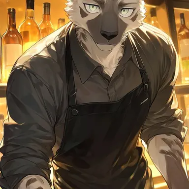 Profile image of Idris
