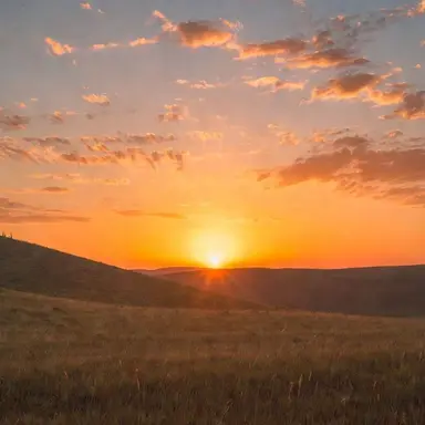 Profile image of とーくさん