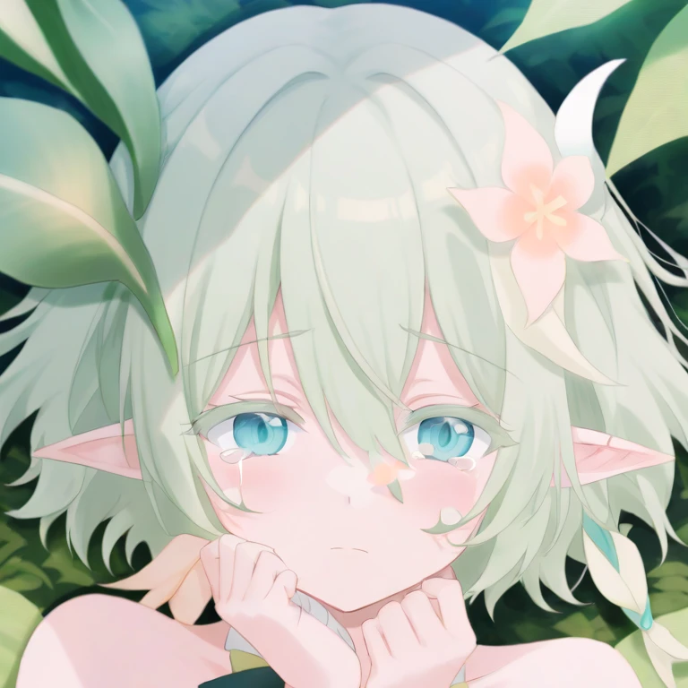 안락소녀