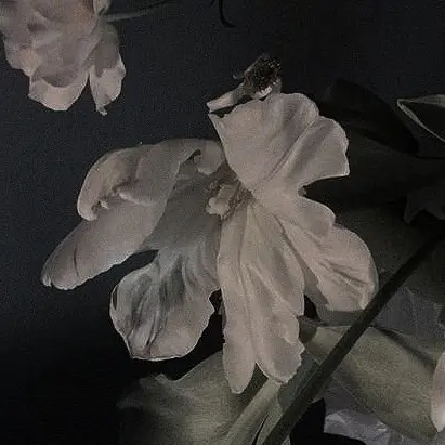 BlankPaint3087의 유영