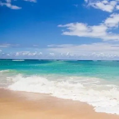 Profile image of 고세구