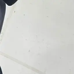 NutmegSand7556의 か く れ ん ぼ