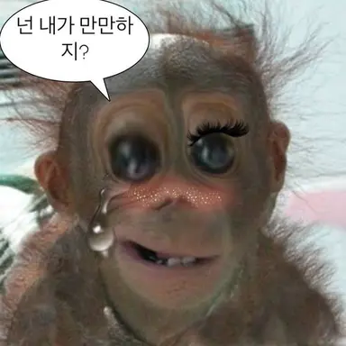 Profile image of 손여우