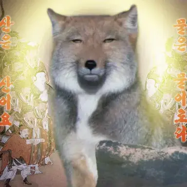 Profile image of 여우