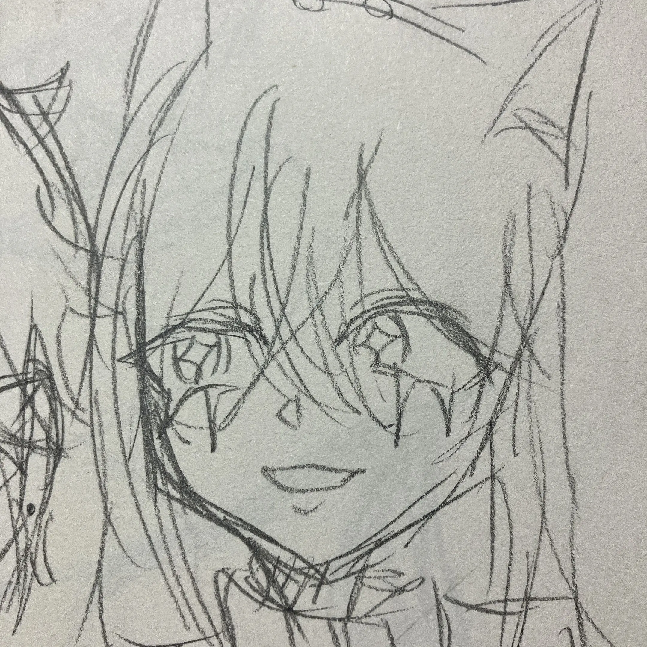 AptCamel0988의 猫と狐拾いました