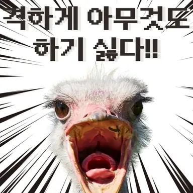 Profile image of 타조씨