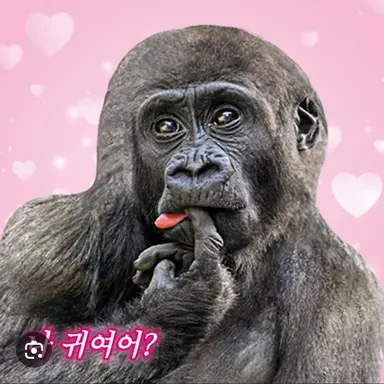 Profile image of 고원미