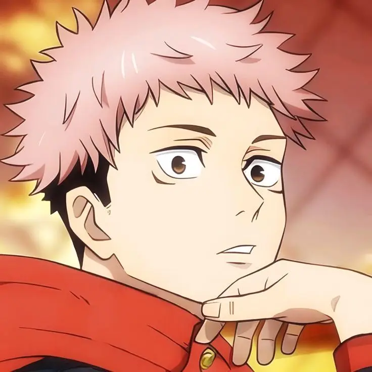 sei073000의 虎杖悠仁