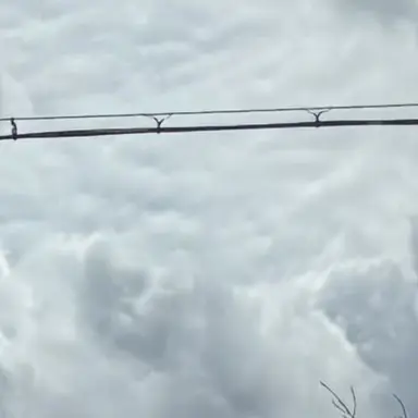 Profile image of 김수현