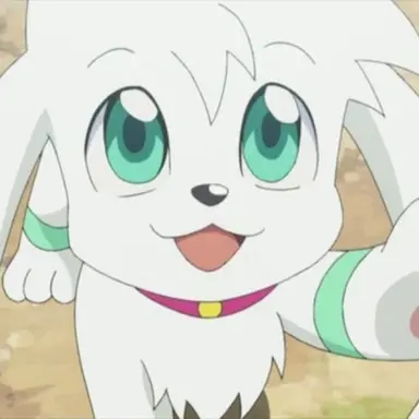Profile image of Scon