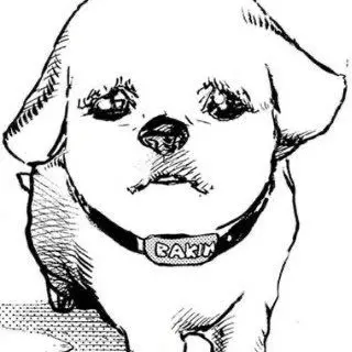 Profile image of バキン
