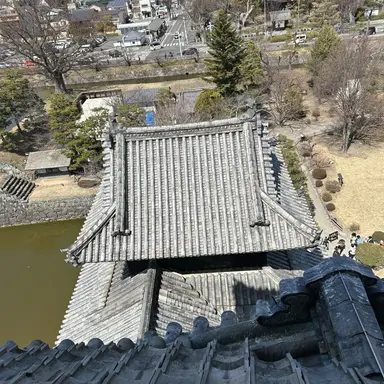 Profile image of 未来