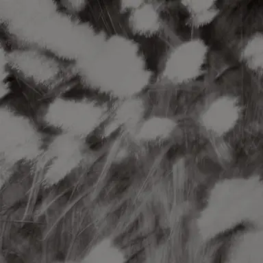 Profile image of 김운학