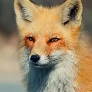 Profile image of 박여우