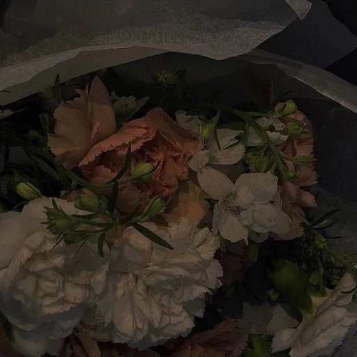 오늘 하루 시한부