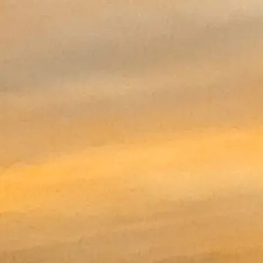 Profile image of James Potter