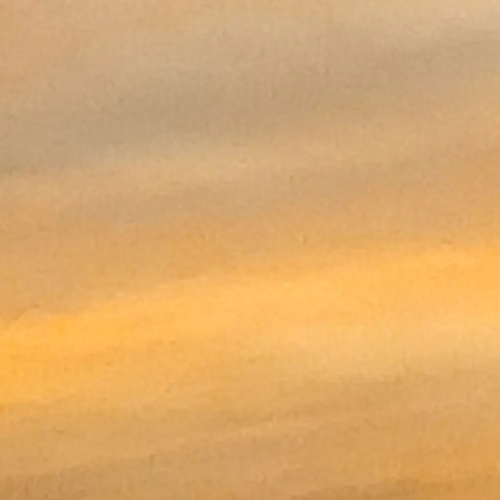 ShabbyBar3398의 The Memory Swap