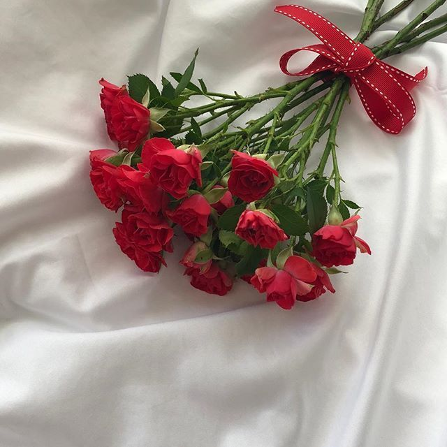 도은호 대표 이미지