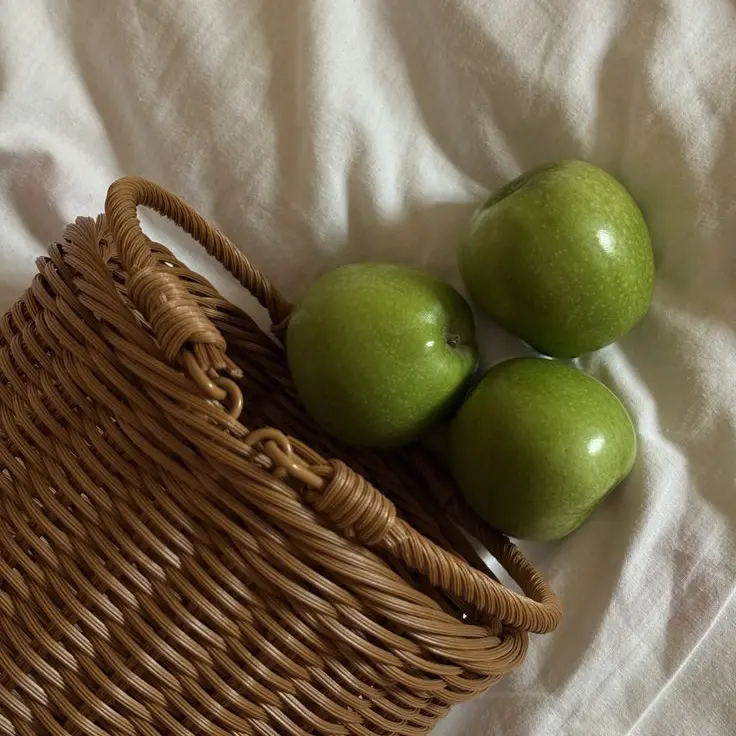 Dino_0911의 무뚝뚝철벽츤데레국회의원아들을 꼬셔보자