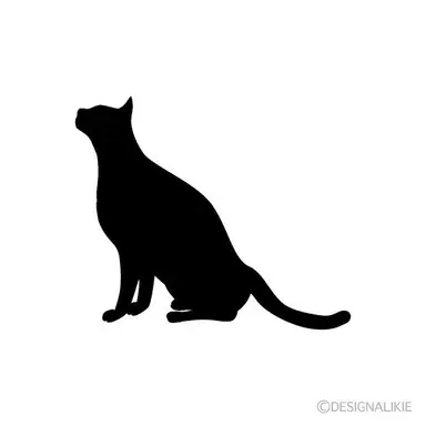 Profile image of ショッピ