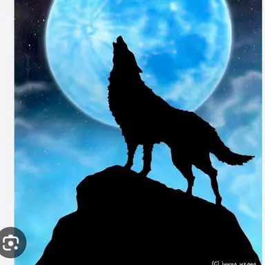 Profile image of カイ