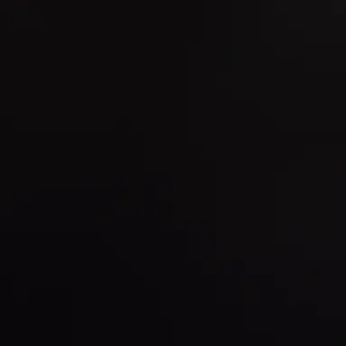 Profile image of 문 수 현