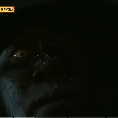 Profile image of 검은 형태