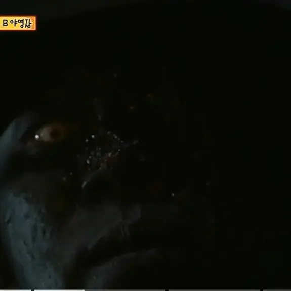 soyul214의 학교에서 제주도에 간다고 해서 가는데
