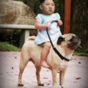 정은