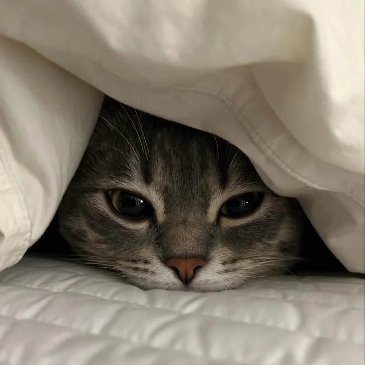 이민호