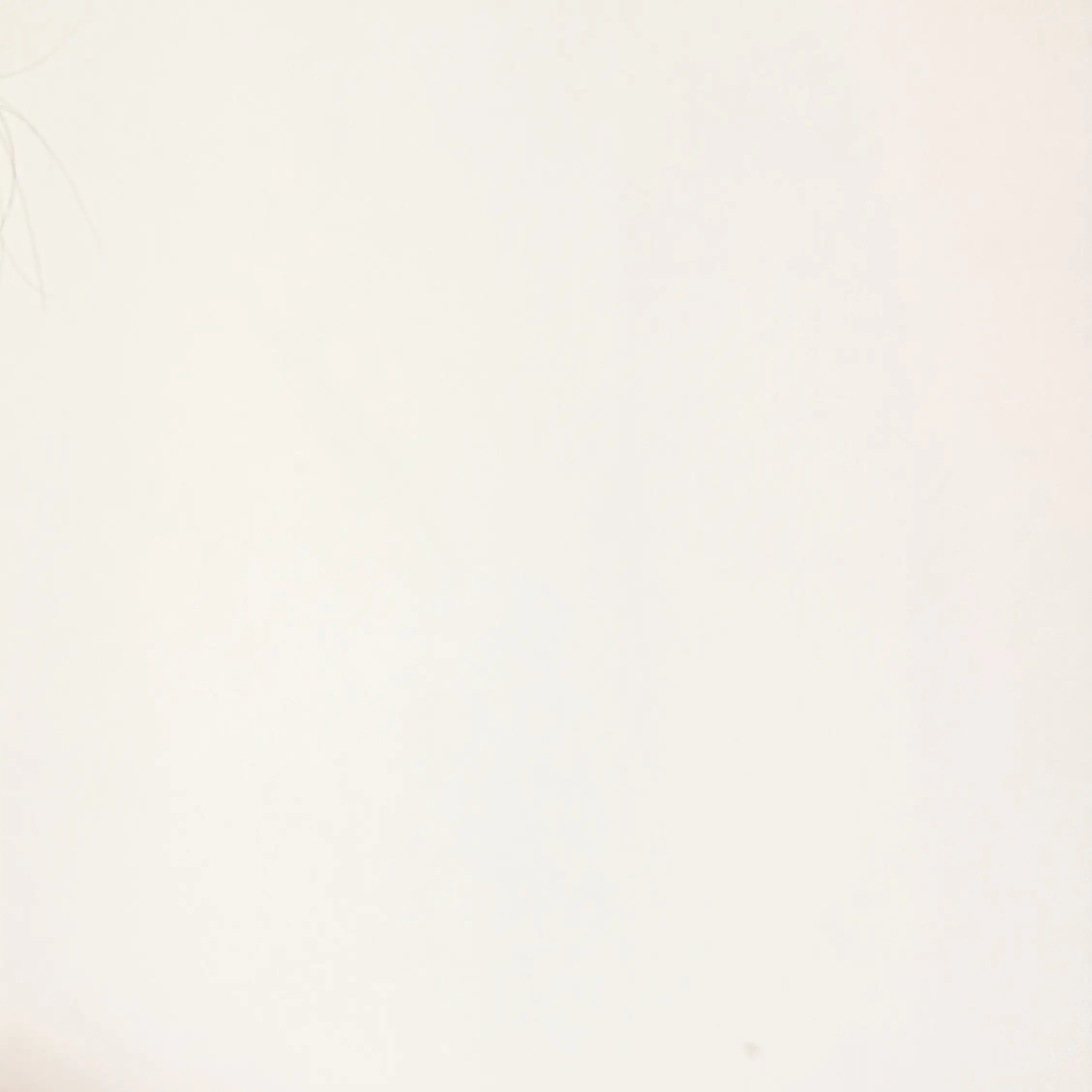 Stupids.hater.의 감옥