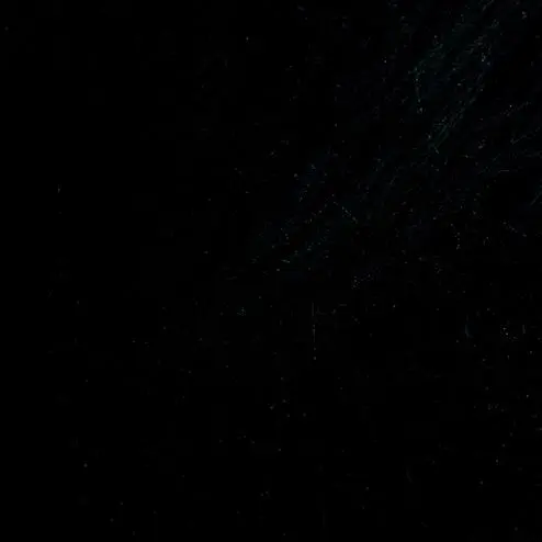 TinyPig5316의 최범규