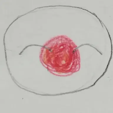 Profile image of 日本