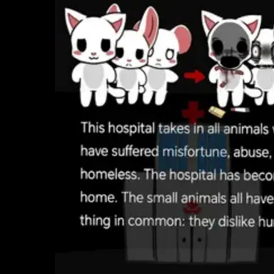 Profile image of 로비 루크 댐