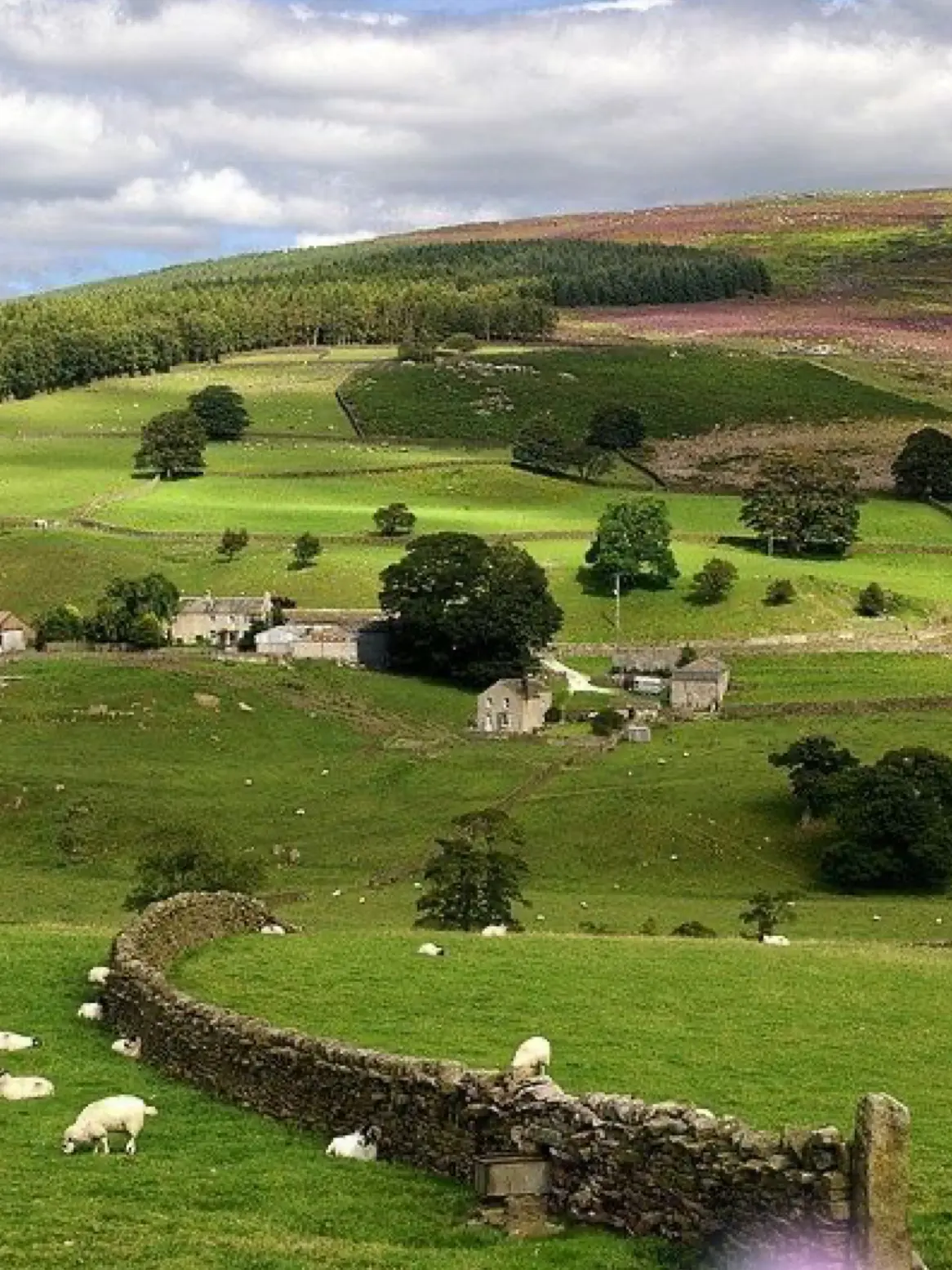 VocalIdol3098의 嵐が丘