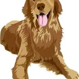 Profile image of ムギ