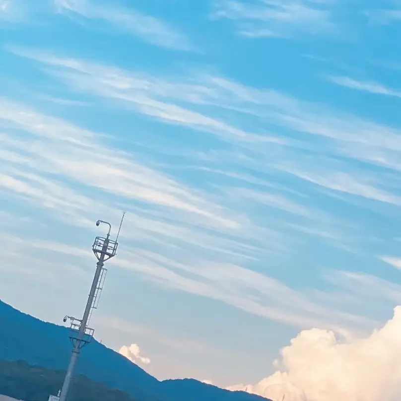 IMARIA1004의 큐리어스